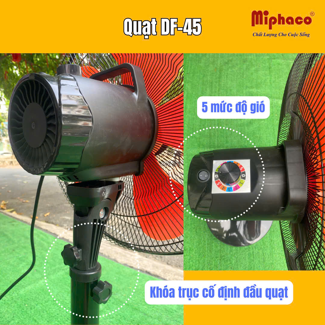 quat_miphaco_df-45_1