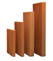 Giấy Cooling Pad (loại không chống riêu)