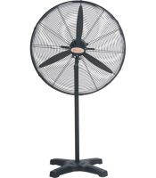 Quạt đứng công nghiệp Winton DHF600-T